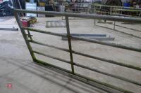 IAE 10' GALVANISED GATE - 6