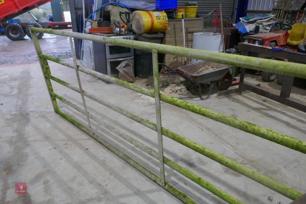 IAE 10' GALVANISED GATE