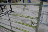 IAE 10' GALVANISED GATE - 3