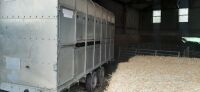 14' WESSEX LIVESTOCK TRAILER - 3