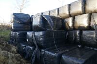 20 SQUARE BALES OF HAYLAGE - 11