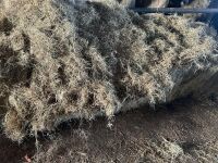 20 SQUARE BALES OF HAYLAGE - 3