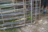 8 CATTLE RACE SECTIONS & 2 GATES - 5