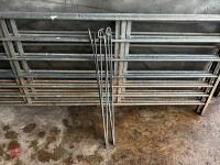 4 X 8' GALVANISED SHEEP HURDLES - 3