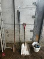 FENCING SHOVEL, GRAIN SHOVE, RAKE & FORK - 2