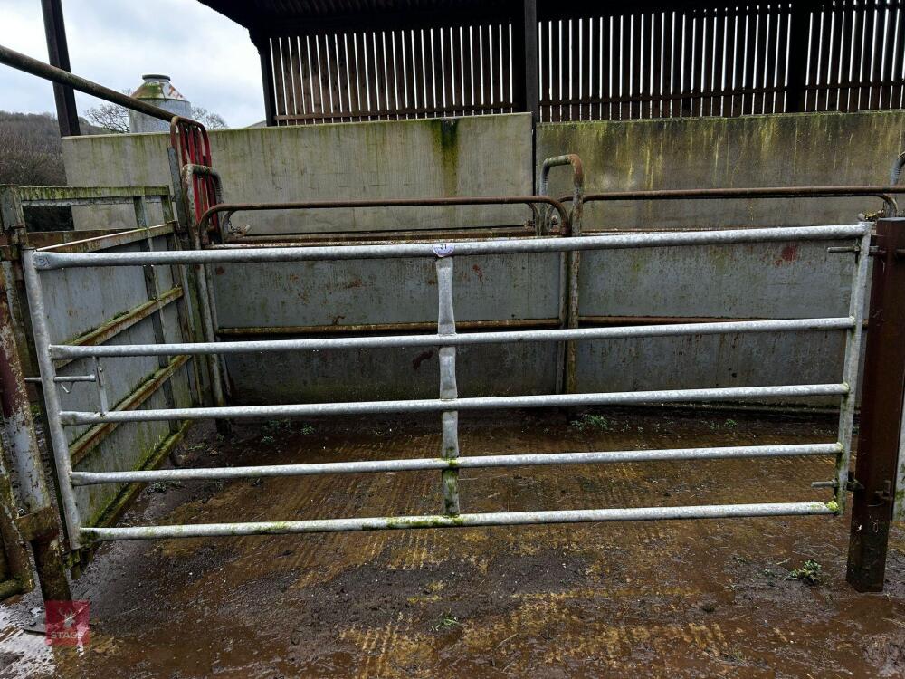 10' HD GALVANISED YARD GATE