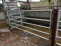 10' HD GALVANISED YARD GATE - 3
