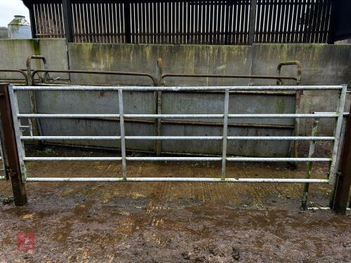 12' IAE GALVANISED YARD GATE