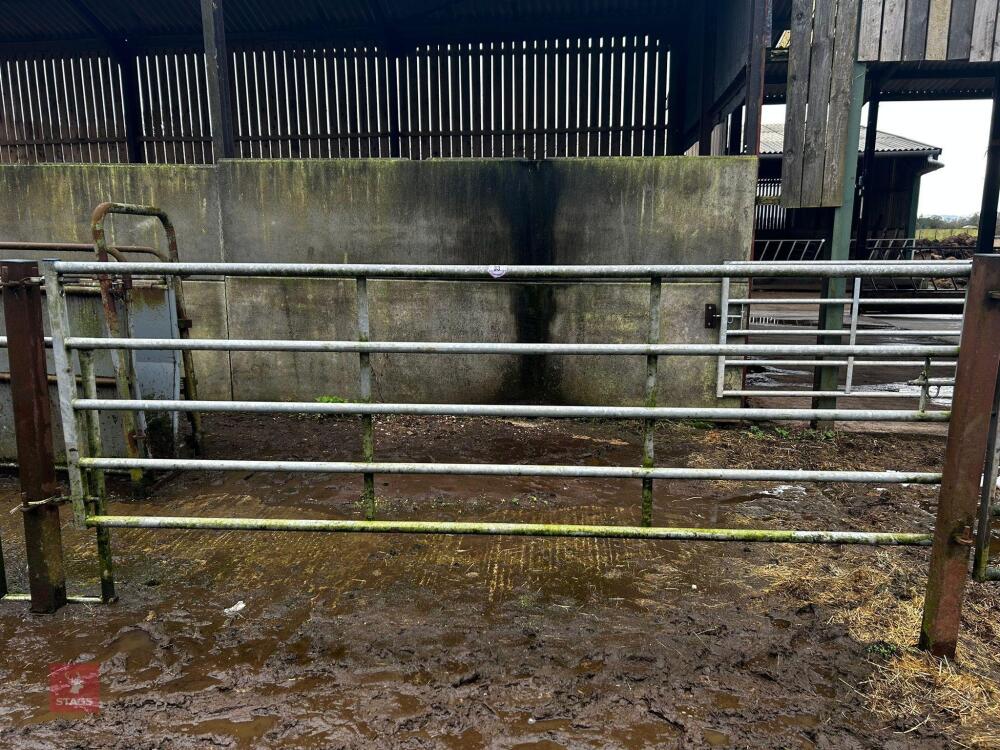12' IAE GALVANISED YARD GATE