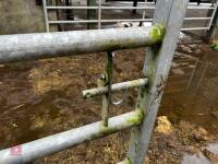 12' IAE GALVANISED YARD GATE - 5