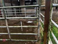 13' HD GALVANISED YARD GATE - 3