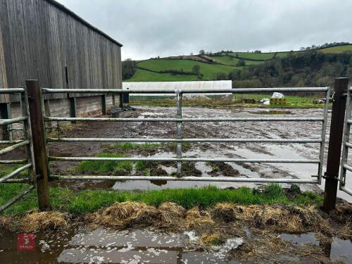 11' HD GALVANISED YARD GATE