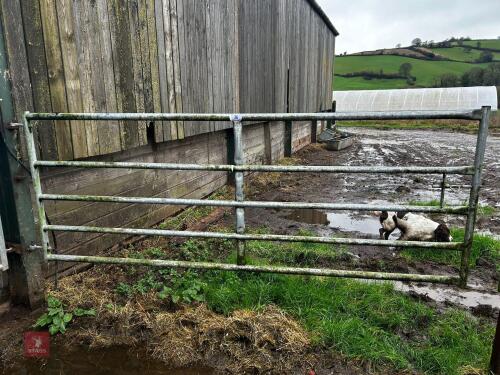 10' GALVANISED YARD GATE