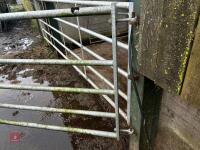 10' GALVANISED YARD GATE - 2