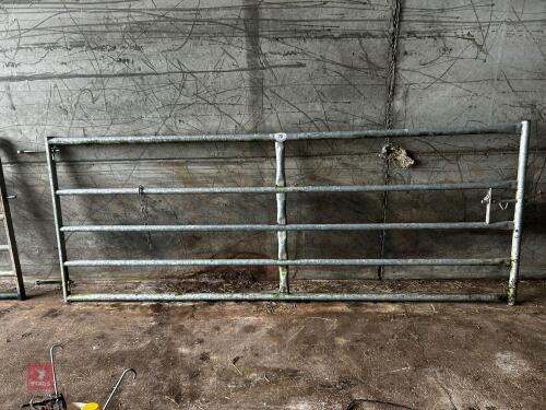 10' HD GALVANISED YARD GATE