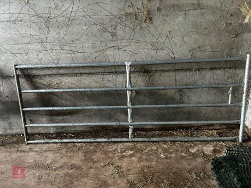 10' HD GALVANISED YARD GATE