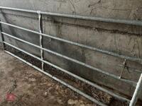 10' HD GALVANISED YARD GATE - 6