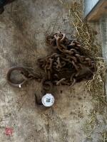 HD CHAIN WITH HOOK AND RING END - 2