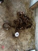 HD CHAIN WITH HOOK AND RING END - 3