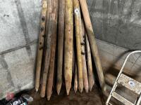 APPROX 22 WOODEN STAKES - 4