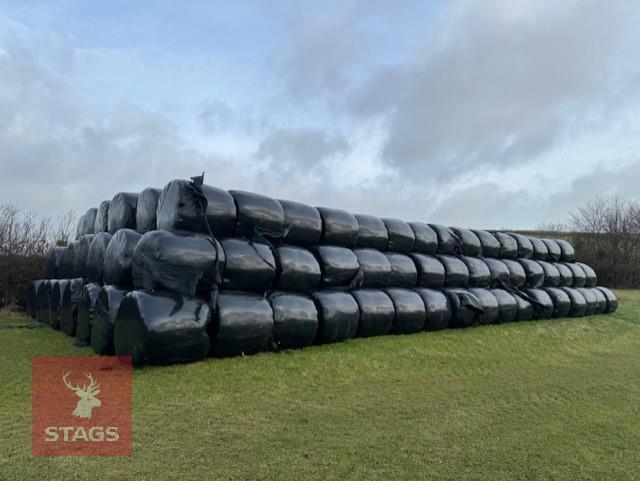 50 ROUND BALES OF HAYLAGE