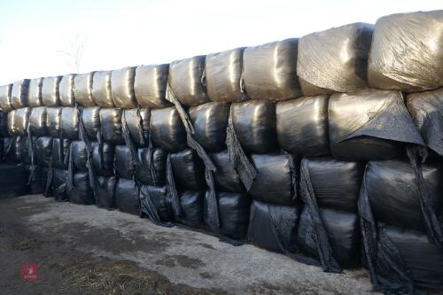 20 SQUARE BALES OF HAYLAGE