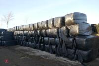 20 SQUARE BALES OF HAYLAGE