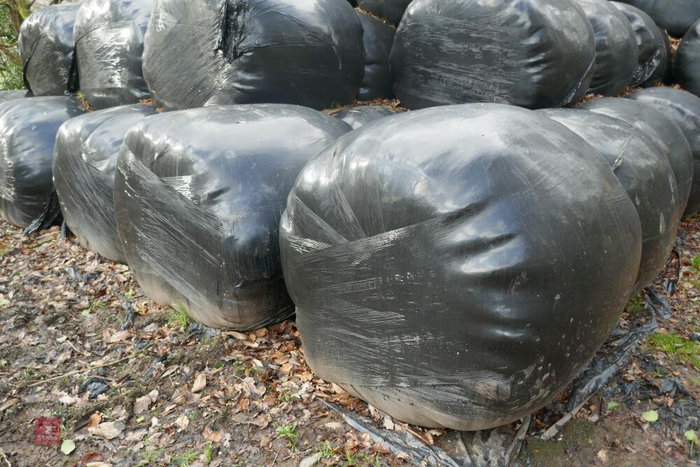 20 ROUND BALES OF 2023 SILAGE