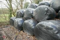 20 ROUND BALES OF 2023 SILAGE