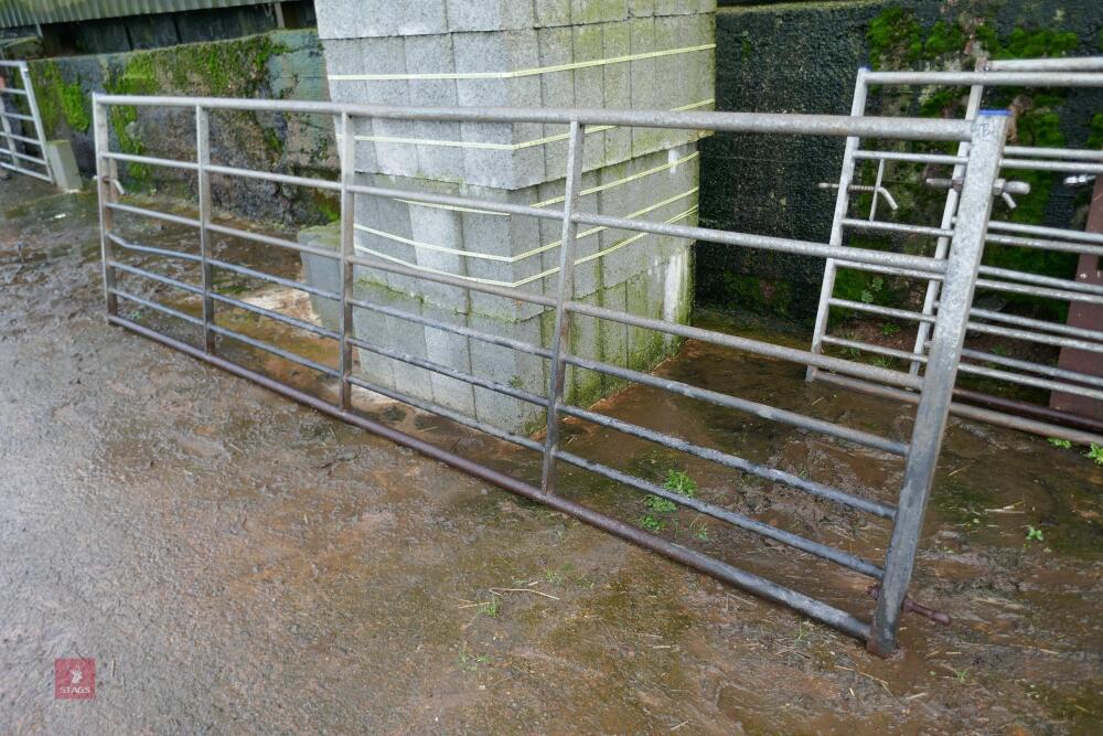 IAE 13' GALVANISED FIELD GATE
