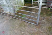 IAE 13' GALVANISED FIELD GATE - 5