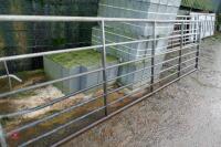 IAE 13' GALVANISED FIELD GATE - 7