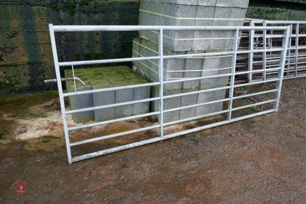 IAE 9' GALVANISED YARD GATE