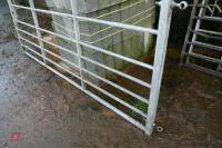 IAE 9' GALVANISED YARD GATE - 4