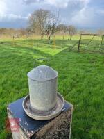 GALVANISED POULTRY DRINKER