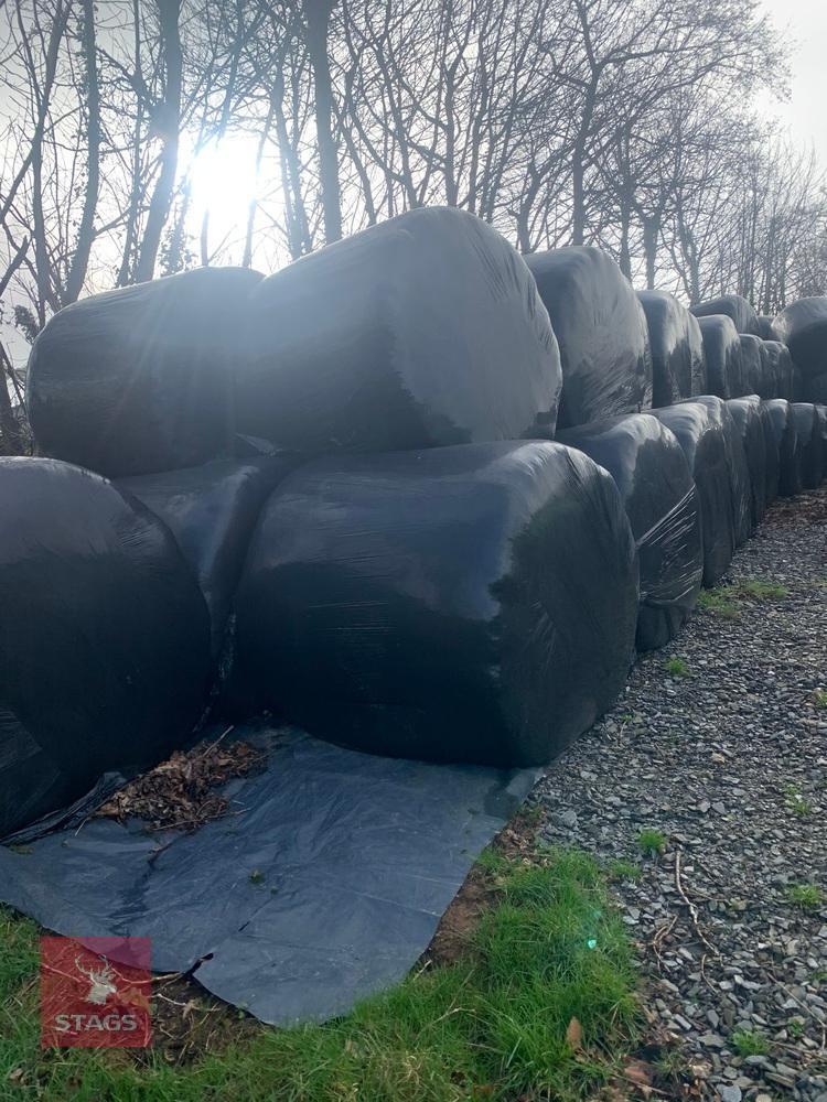 20 ROUND BALES OF 2023 SILAGE