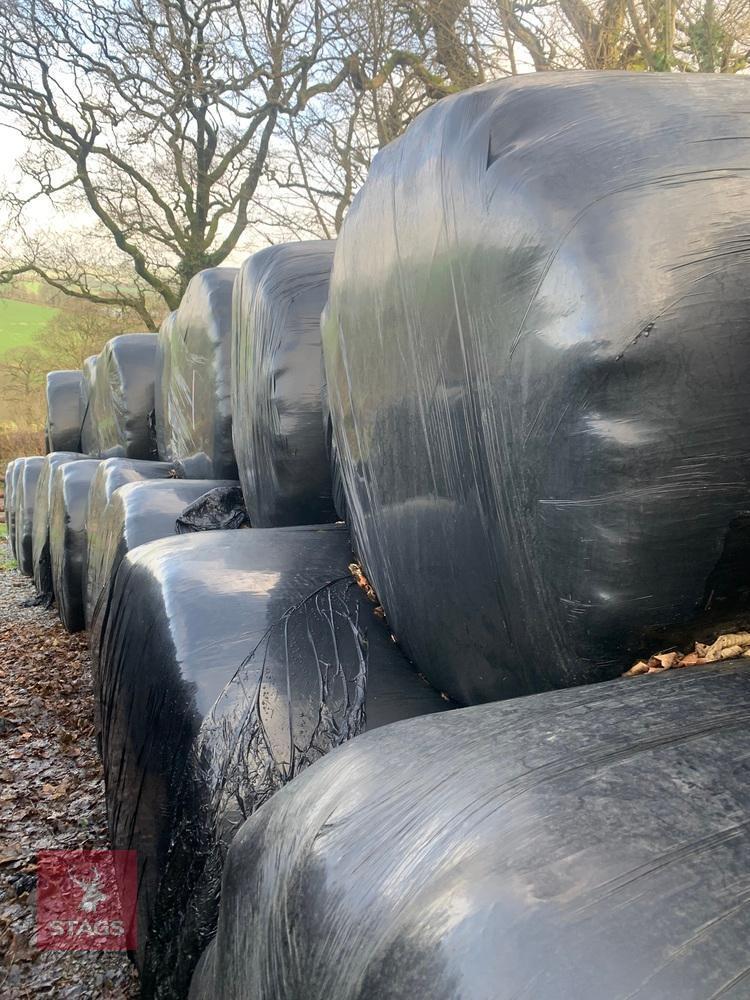 20 ROUND BALES OF 2023 SILAGE