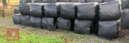 15 SQUARE BALES OF 2023 SILAGE