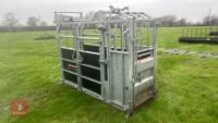 BATEMAN AMBASSADOR GALV CATTLE CRUSH - 2