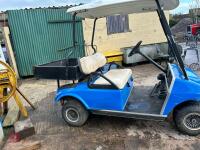 BLUE PETROL GOLF BUGGY - 4