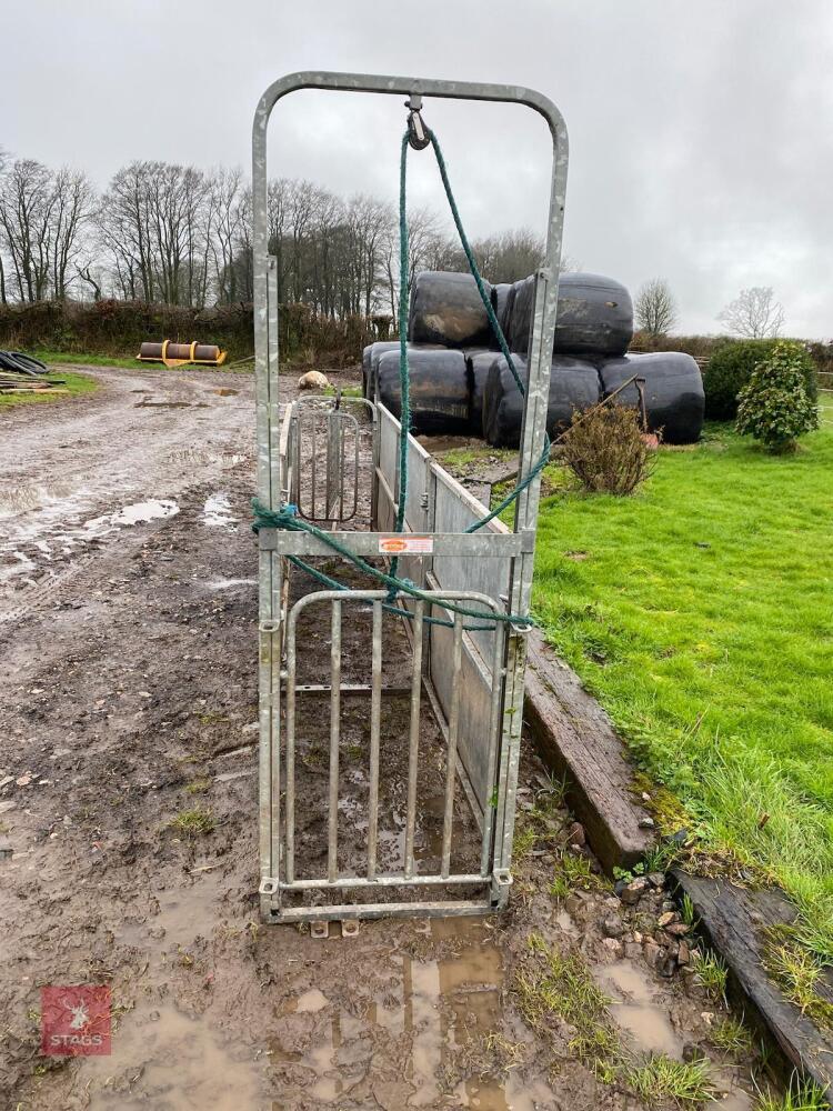 GALVANISED RITCHIE SHEEP RACE