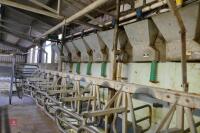 GEA WESTFALIA 54/54 MILKING PARLOUR - 6