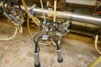 GEA WESTFALIA 54/54 MILKING PARLOUR - 21