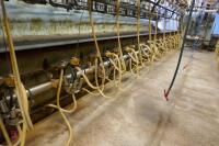GEA WESTFALIA 54/54 MILKING PARLOUR - 22
