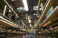 GEA WESTFALIA 54/54 MILKING PARLOUR - 30