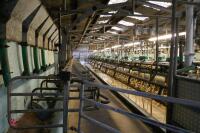 GEA WESTFALIA 54/54 MILKING PARLOUR - 33