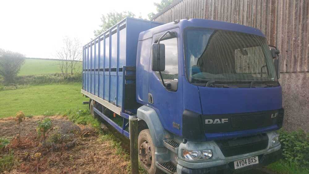 DAF LF55.180 SHEEP/CATTLE LORRY