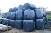 18 ROUND BALES OF SILAGE (BIDS PER BALE) - 4