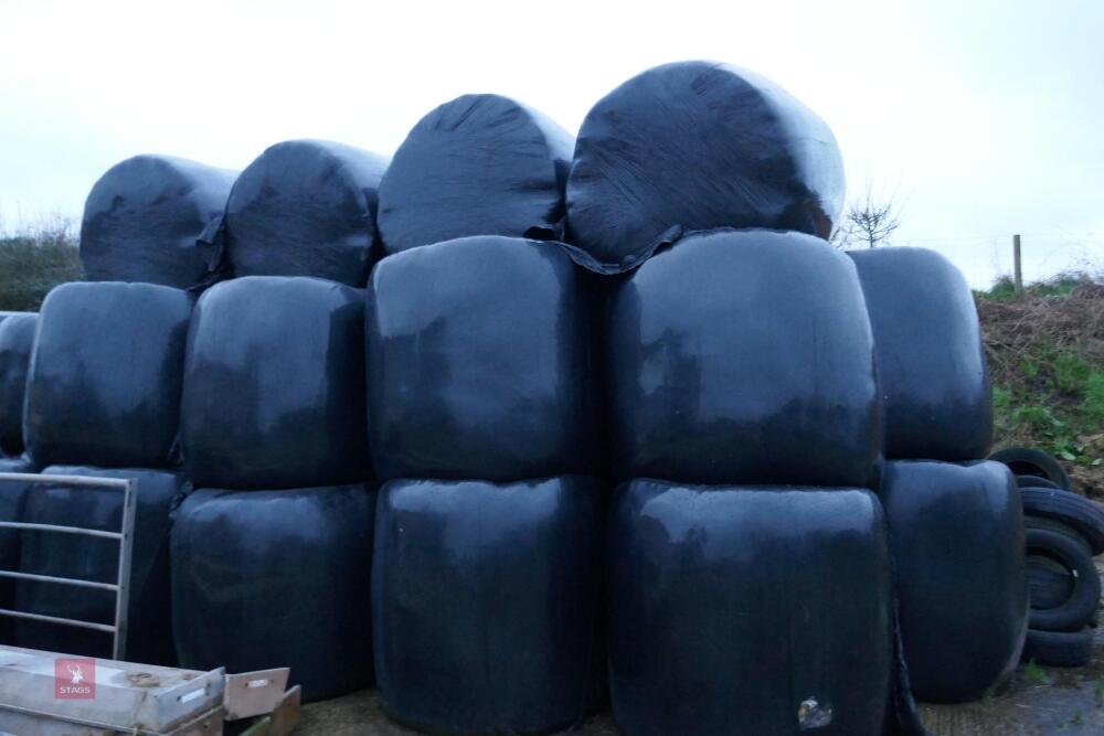 18 ROUND BALES OF SILAGE (BIDS PER BALE)