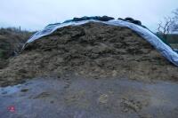 5O TONNES OF CLAMP SILAGE-BIDS PER TONNE - 3